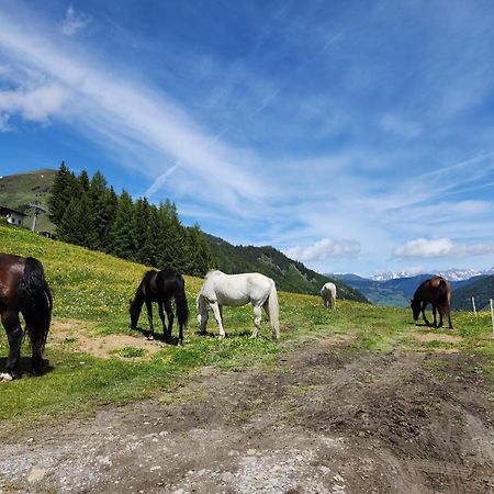Lipphuette Top Lage Mit Traumhafter Aussicht Rauris Luaran gambar