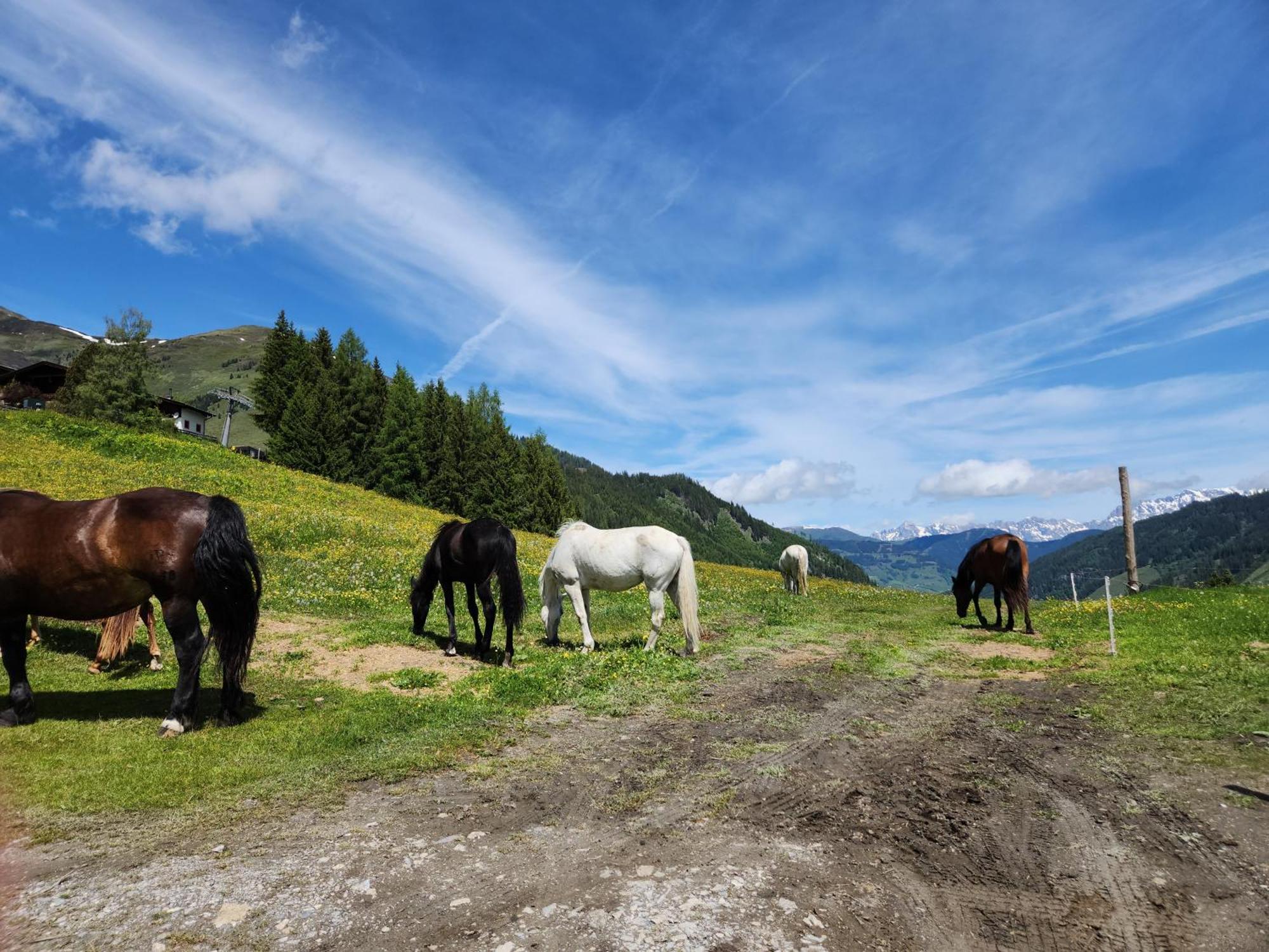 Lipphuette Top Lage Mit Traumhafter Aussicht Rauris Luaran gambar